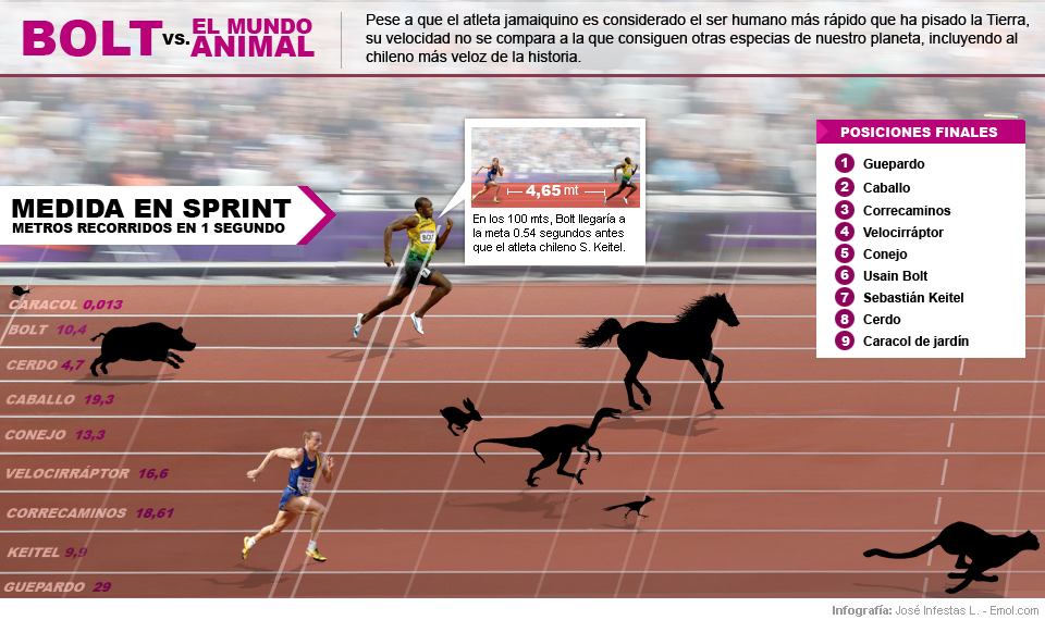 Usain Bolt versus el mundo animal - InfografÃa especial de 